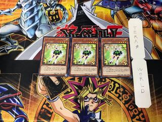 Trickstar Narkissus 2 Normal, set of 3 Tera