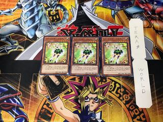 Trickstar Narkissus 3 Normal Set of 3 Tera