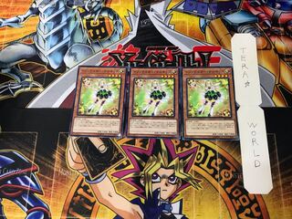 Trickstar Narkissus 4 Normal, set of 3 Tera