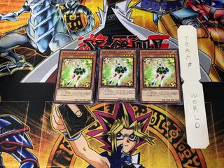 Trickstar Narkissus 5 Normal Set of 3 Tera