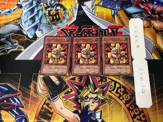 Neko Mane King 1 Normal, set of 3 Tera