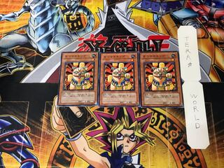 Neko Mane King 5 Normal, set of 3 Tera