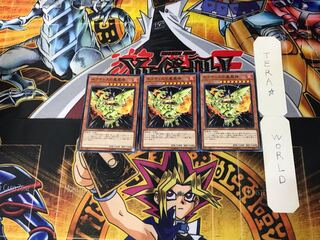 Sacred Phoenix of Nephthys 2 Normal, set of 3 Tera.
