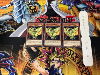 Sacred Phoenix of Nephthys 3 Normal Set of 3 Tera