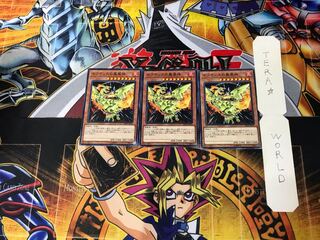 Sacred Phoenix of Nephthys 6 Normal, set of 3 Tera.