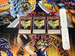 Sacred Phoenix of Nephthys 9 Normal, set of 3 Tera.