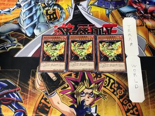 Sacred Phoenix of Nephthys 10 Normal, set of 3 Tera.