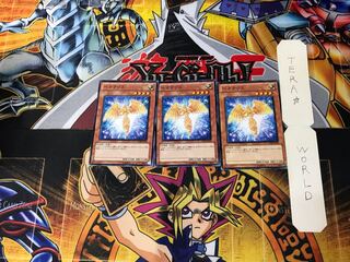 Hecatrice 1 Normal, set of 3 Tera.