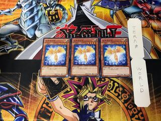 Hecatrice 2 Normal, set of 3 Tera