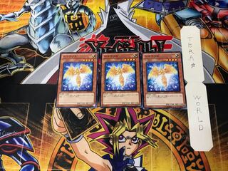 Hecatrice 4 Normal, set of 3 Tera