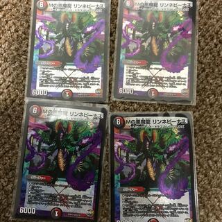 リンネビーナス　アクアンメルカトール