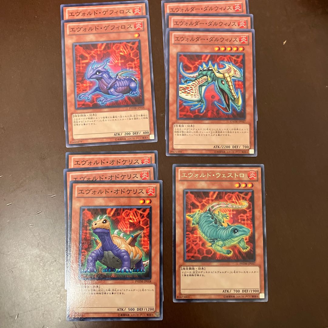 エヴォルド、エヴォルダーセット 1枚