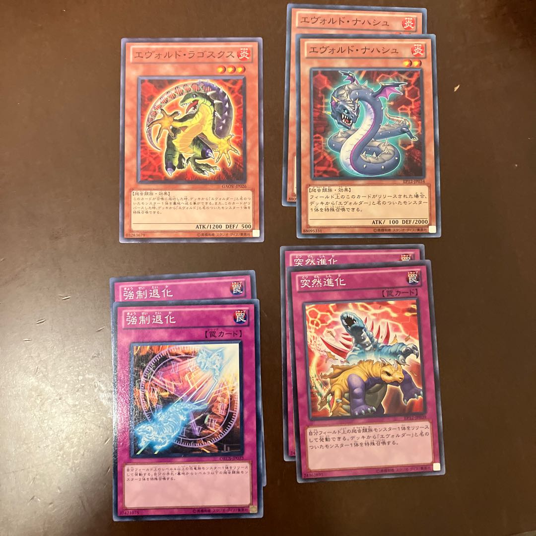 エヴォルド、エヴォルダーセット 1枚