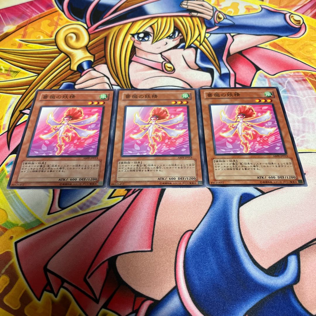 Rose Fairy with scratches, normal JP013