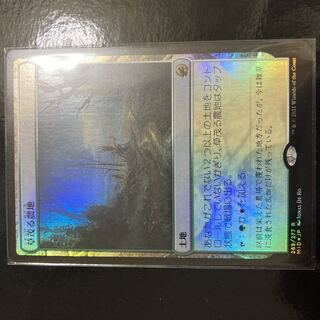 草茂る農地 レア 265/277 Foil