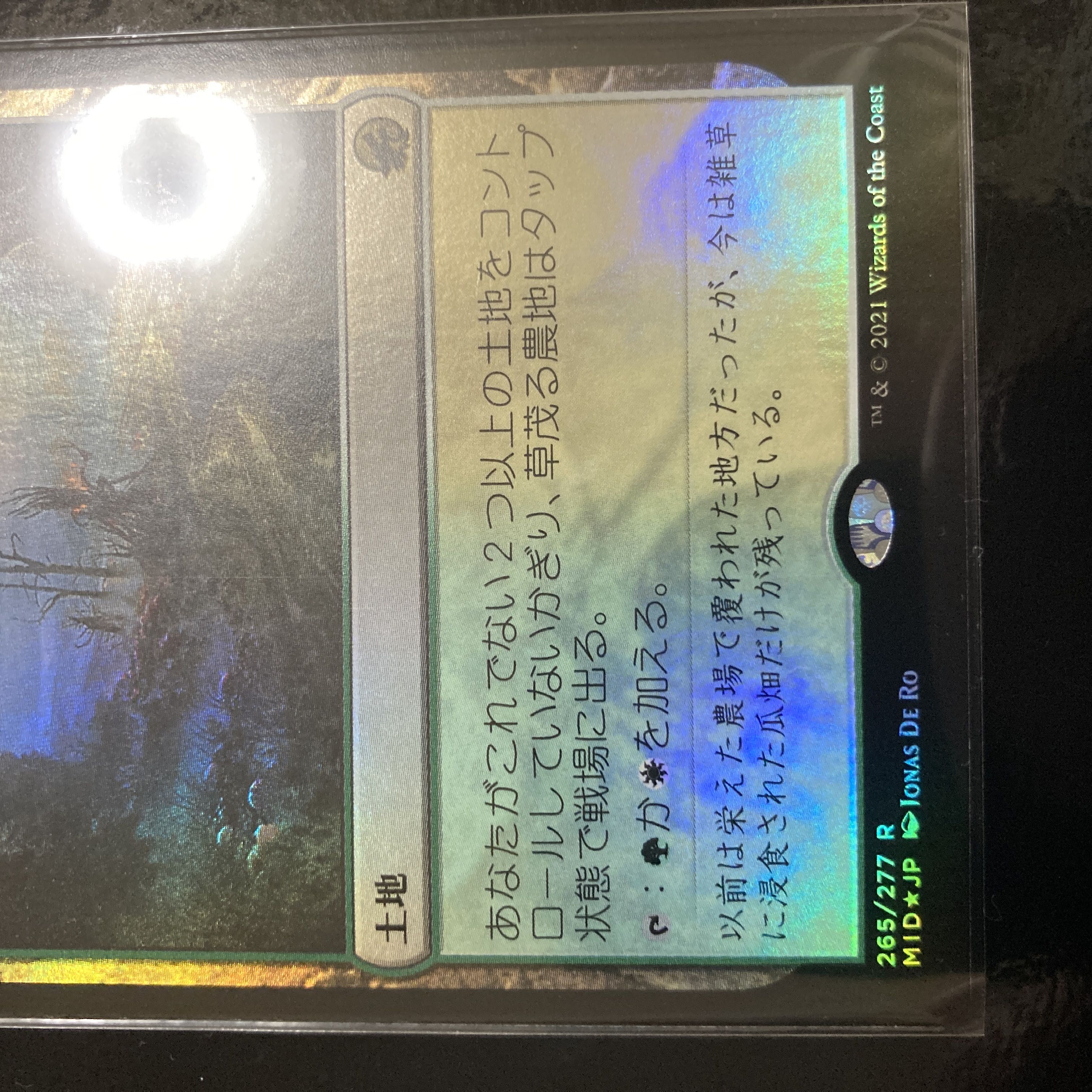 草茂る農地 レア 265/277 Foil