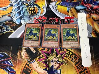 Wroughtweiler 1 rare, set of 3 Tera.