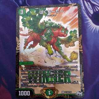 ぱくちーたー プロモ