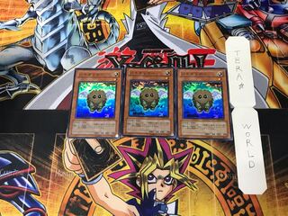 ハネクリボー 3 スーパー 3枚セット てら