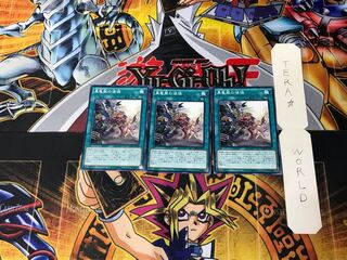 Disciples of the True Dracophoenix MACR 1 Normal 3-card set Tera