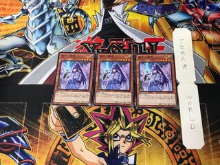 Denko - Snow Flower - SD39 8 Normal, set of 3 Tera