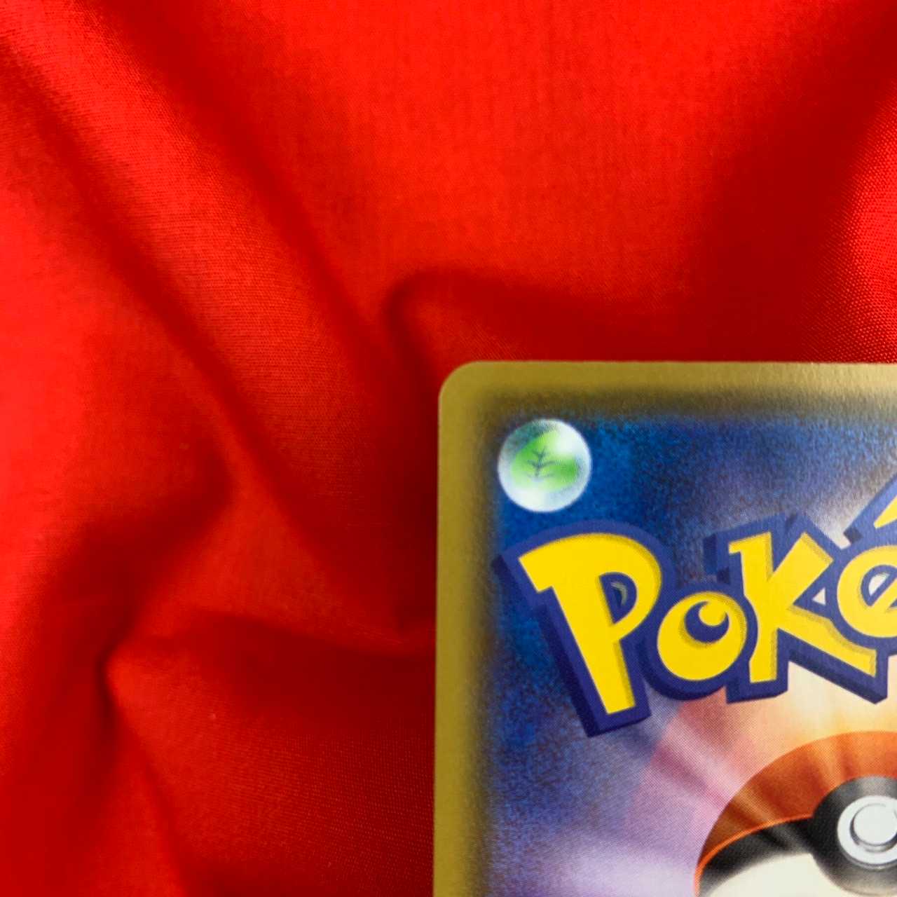 ワタシラガV SSR 306/190