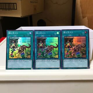 Lowest price! The early bird gets the worm!　That Grass Looks Greener 3 Super Rare RC02 RATE Control #1778