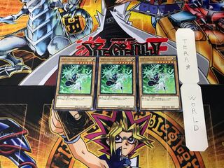 PSY-Frame Driver LVP2 3 Normal 3-card set Tera