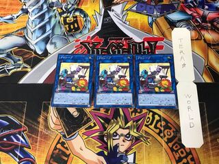 Cross-Sheep IGAS 2 Normal, set of 3 Tera.