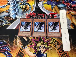 D.D.クロウ STON 9 レア 3枚セット てら