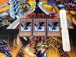 D.D.クロウ STON 10 レア 3枚セット てら