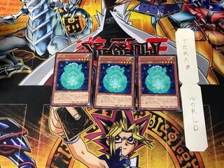 Nikitama LVAL 6 Rare, set of 3 Tera.