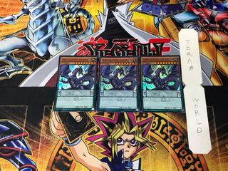 アモルファージ・イリテュム SHVI 4 スーパー 3枚セット てら