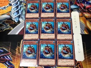 Nimble Angler 2 Normal, set of 9 Tera