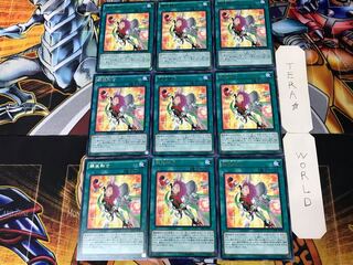 Metalfoes Fusion TDIL 1 rare, set of 9 Tera.