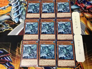 海亀壊獣ガメシエル EP16 4 レア 9枚セット てら