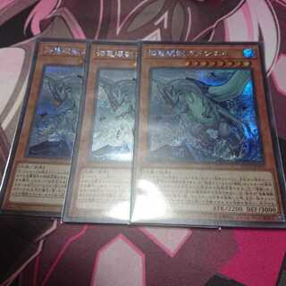 シク 海亀壊獣ガメシエル 3枚