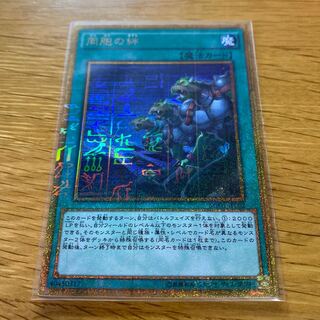 同胞の絆 ミレニアムゴールドレア JP002