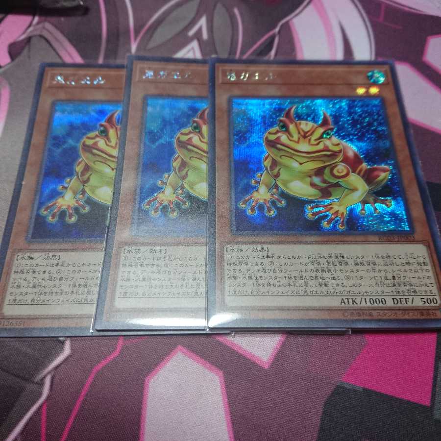 シク 鬼ガエル 3枚