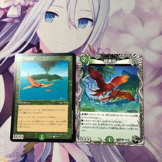 Birds of Paradise (Black Treasure) R T12/T20 2 pieces