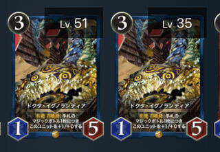 【2枚セット】ドクタ・イグノランディア