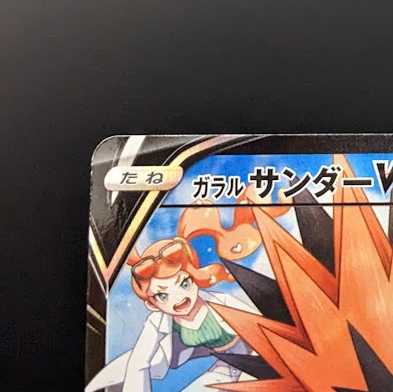 ガラルサンダーV【CSR】