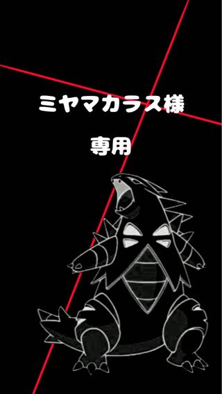 【ミヤマカラス様】専用