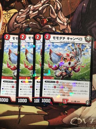 モモダチ キャンベロ U-foil 42/95