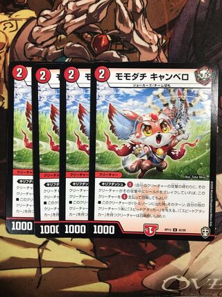 モモダチ キャンベロ U 42/95