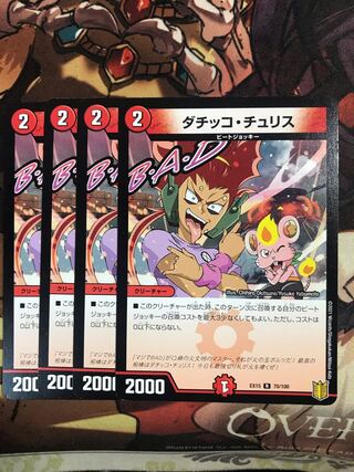 ダチッコ・チュリス R 70/100