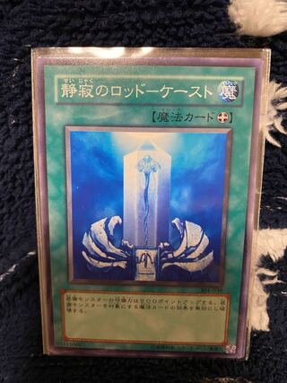 静寂のロッド-ケースト ノーマル JP198