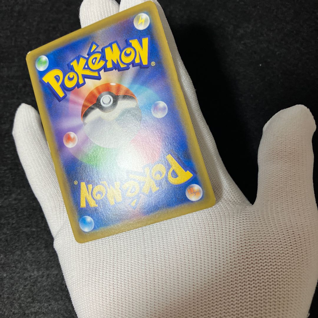 Erika's HospitalitySR 2 types