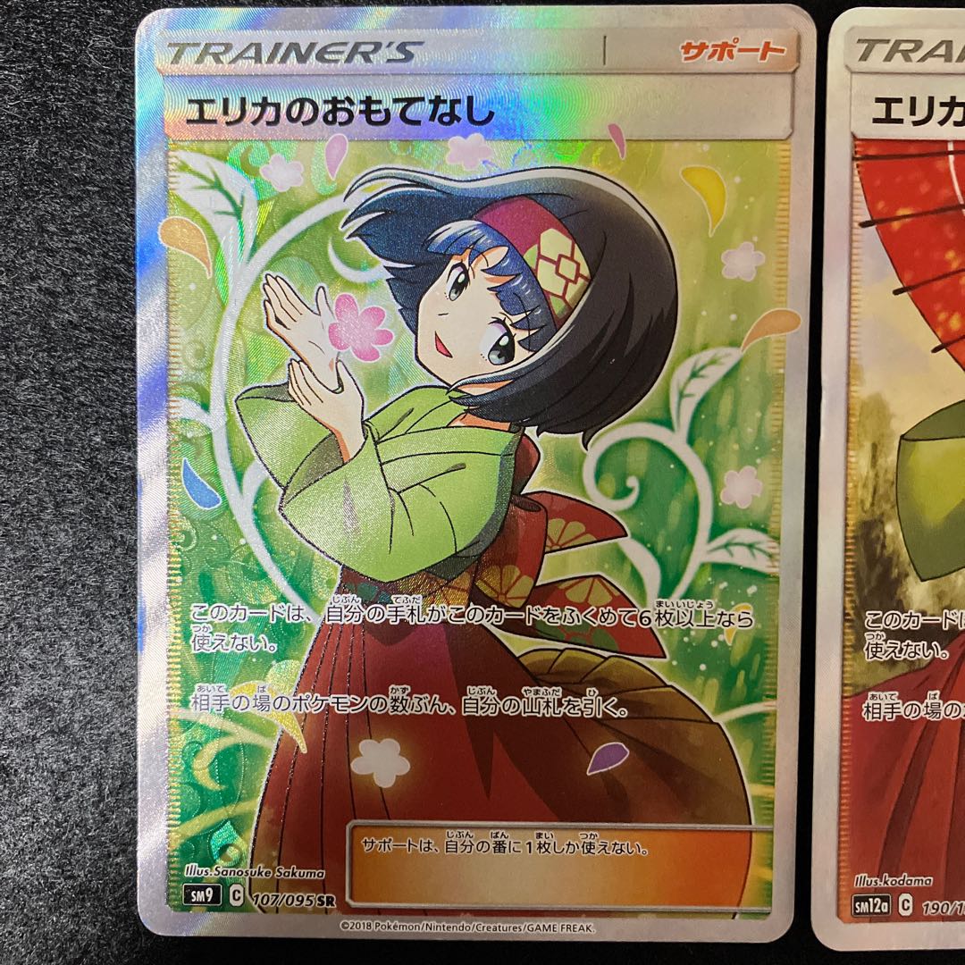 Erika's HospitalitySR 2 types