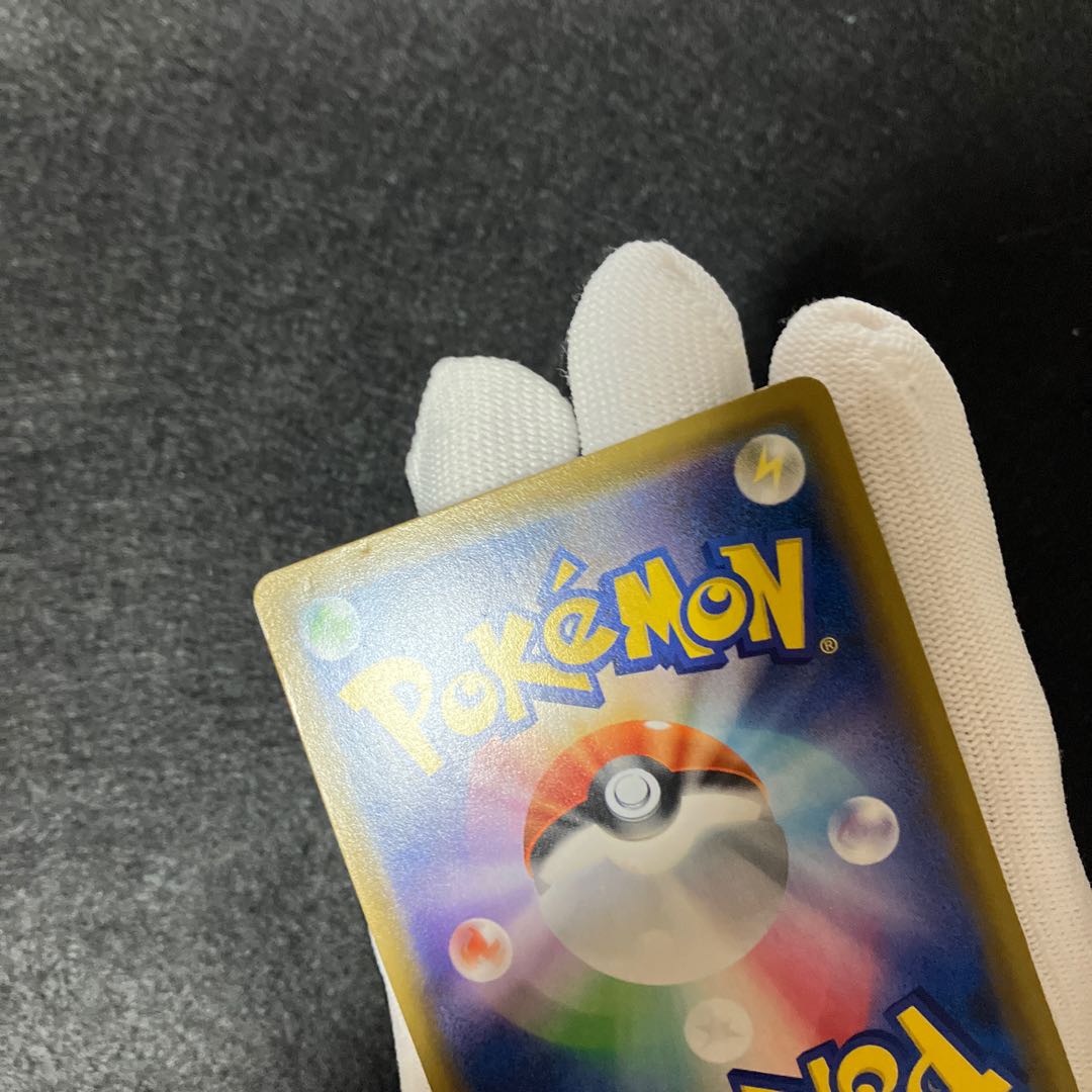 Erika's HospitalitySR 2 types